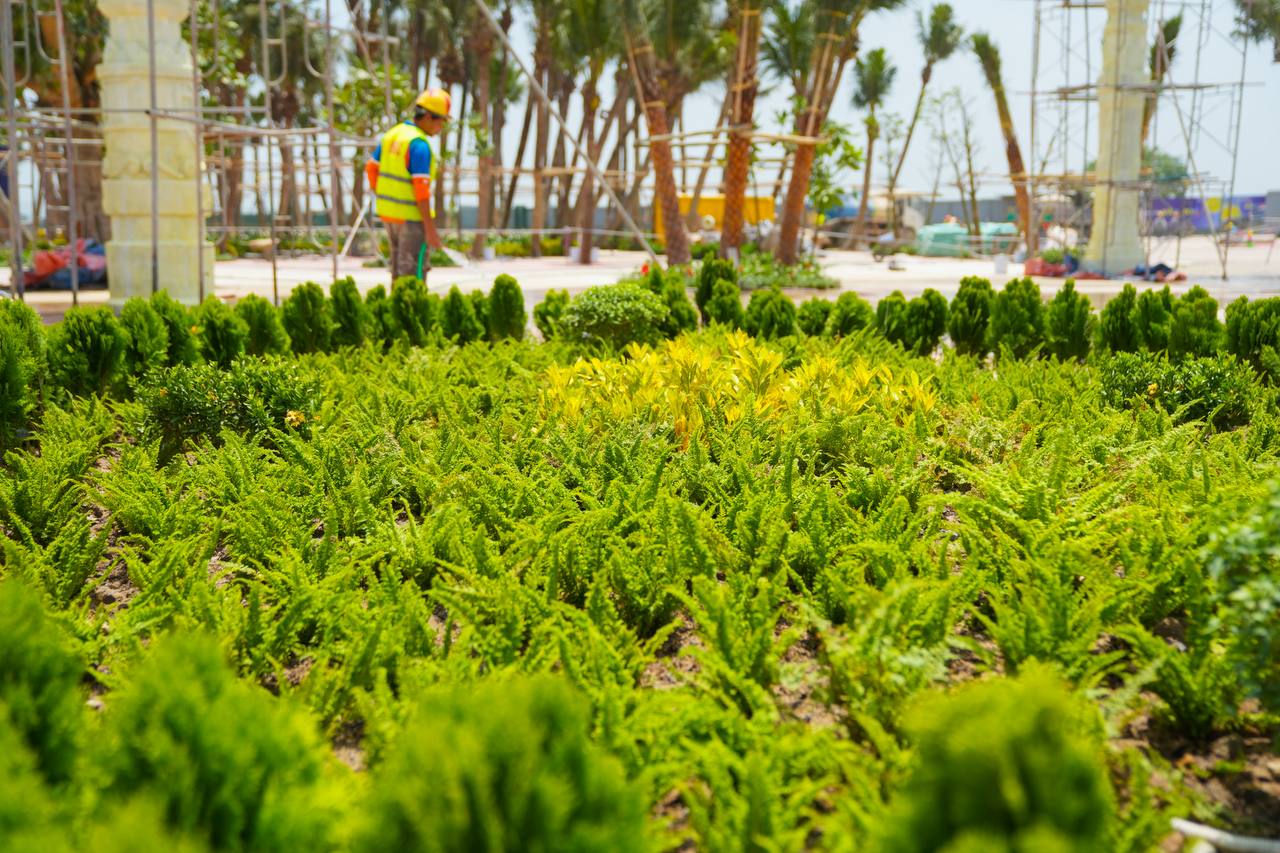 Hàng trăm tỷ đồng phủ xanh đô thị nghỉ dưỡng Sun Group tại Nam Hà Nội- Ảnh 9. Hàng trăm tỷ đồng phủ xanh đô thị nghỉ dưỡng Sun Group tại Nam Hà Nội- Ảnh 9.
